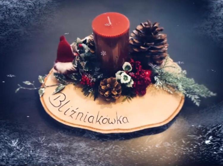 Dom wakacyjny Bliźniakówka *
